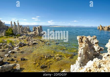 Lago mono, CALIFORNIA, STATI UNITI D'AMERICA Foto Stock