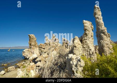 Lago mono, CALIFORNIA, STATI UNITI D'AMERICA Foto Stock