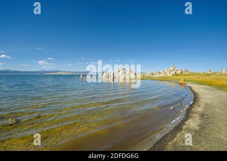 Lago mono, CALIFORNIA, STATI UNITI D'AMERICA Foto Stock