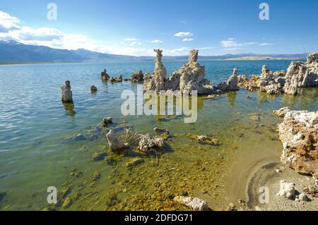 Lago mono, CALIFORNIA, STATI UNITI D'AMERICA Foto Stock