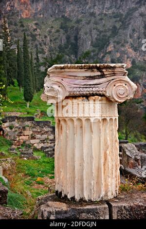 Antica colonna (Ordine Ionin) presso il sito archeologico di Delfi, FOKIDA, Centro, Grecia. Foto Stock