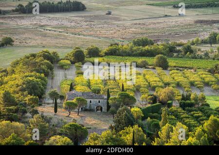 Casa rurale nel paesaggio della Provenza, Francia, Europa. Foto Stock