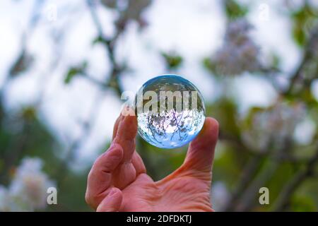 Lensball e primavera Foto Stock