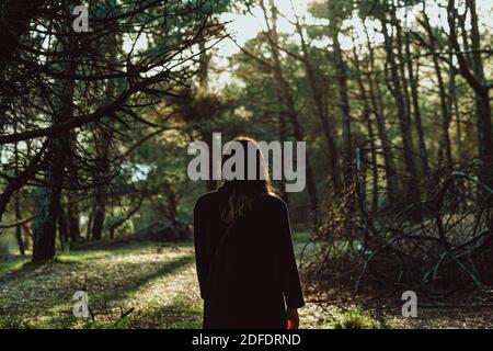 Immagine retroilluminata della donna in piedi nella foresta Foto Stock