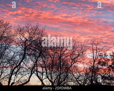 Tinta rossastra del cielo orientale, alba Foto Stock