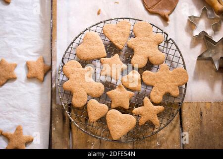 Biscotti di pan di zenzero di forma diversa sulla griglia di raffreddamento Foto Stock