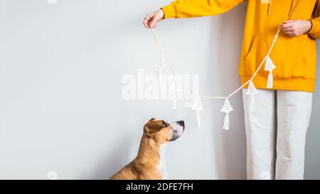 Uncinetto artigianale nuovo anno decorazione in mani donna con cane che lo guarda. Persona in felpa con cappuccio gialla tiene una ghirlanda di natale. Decorazione casa per la vittoria Foto Stock