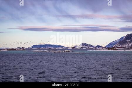 Case colorate a Bronnoysund sulla costa marina in Norvegia Foto Stock