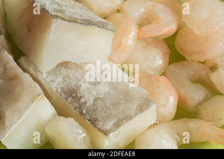 Primo piano di alcuni deliziosi filetti di merluzzo crudo con glassa di ghiaccio accompagnati da alcuni gamberi scongelati. Pesce e carne di pesce. Foto Stock