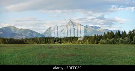 Panorama estivo prato, con foresta e monte Krivan (simbolo slovacco) picco in distanza, nuvole pomeridiane sopra Foto Stock