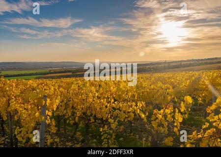 Kloster Eberbach Germania nell'autunno 2020 Foto Stock