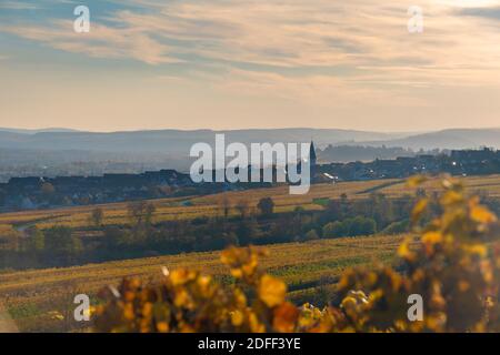 Kloster Eberbach Germania nell'autunno 2020 Foto Stock