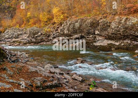 Belaya fiume sul fondo di un burrone profondo, canyon, nella Repubblica di Adygea in Russia Foto Stock