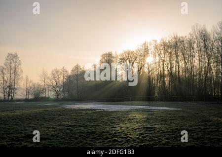 Raggi di sole che cadono sull'ultima neve su un prato Foto Stock