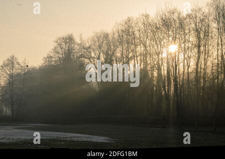 Raggi di sole che cadono sull'ultima neve su un prato Foto Stock