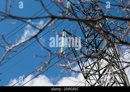 400 KV linea di alimentazione, L2 Pylon e isolatori di vetro visti attraverso rami di albero Foto Stock