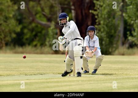 I Bushrangers di Benalla sotto dei 12 anni si impanano sui Colt di Wangaratta a Benalla. Australia Foto Stock