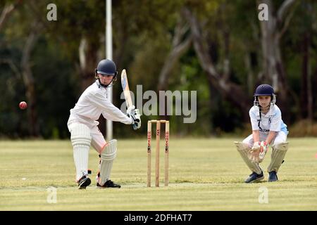 I Bushrangers di Benalla sotto dei 12 anni si impanano sui Colt di Wangaratta a Benalla. Australia Foto Stock