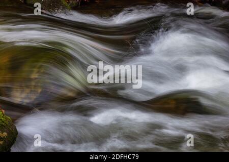 Rapide del Medio Prong del Little River, Great Smoky Mountains National Park, Tennessee, Stati Uniti Foto Stock