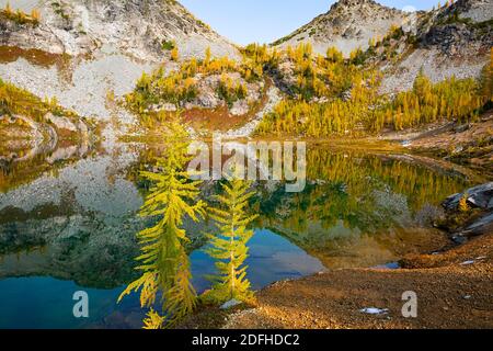 WA18684-00...WASHINGTON - Autunno al Lower Ice Lake nella zona di Glacier Peak Wilderness. Foto Stock