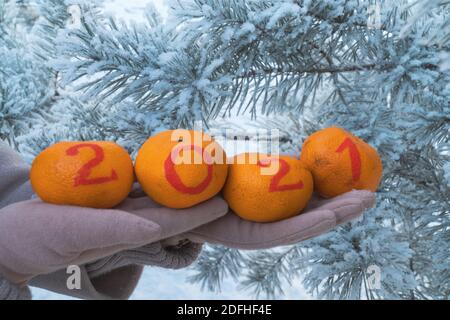 tangerini con numeri dipinti 2021. fuoco selettivo. frutta fresca in mano sullo sfondo di bellissimi alberi innevati. Foto Stock