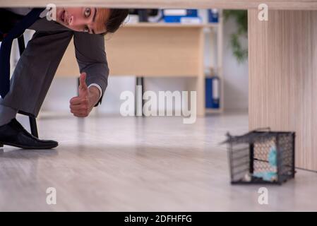 Impiegato maschile e mousetrap in ufficio Foto Stock