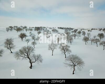 Pechino, Cina. 4 Dicembre 2020. La foto aerea del 4 dicembre 2020 mostra lo scenario invernale del pascolo di Yudaokou nella città di Chengde, nella provincia di Hebei nella Cina settentrionale. Credit: Wang Liqun/Xinhua/Alamy Live News Foto Stock