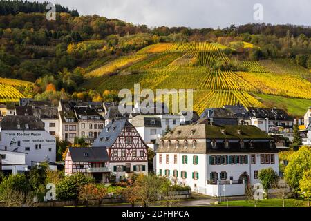 Moselle paesaggio e vigneti in colori dorati autunno, viaggio e destinazione di vacanza in Germania. Foto Stock