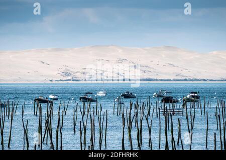 Arcachon Bay, Francia, Europa Foto Stock