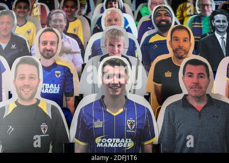 Vista generale dei fan di AFC Wimbledon in cartoncino prima della partita della Sky Bet League One al Plow Lane, Londra. Foto Stock