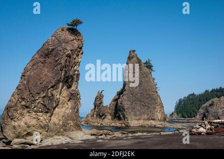 Spiaggia di Rialto, Parco Nazionale Olimpico, Washington. Foto Stock