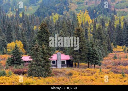 Alaska colori di autunno - casa sola all'interno di Abete e Aspen Foto Stock