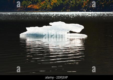 Ghiaccio galleggiante in un lago glaciale, Alaska Foto Stock