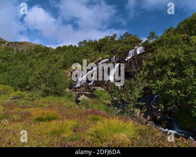 Bella cascata rocciosa vicino a Sørvågen, Moskenesøy isola, Lofoten, Norvegia nella soleggiata giornata estiva circondata da prati e alberi colorati. Foto Stock