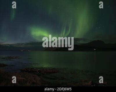 Splendida vista del cielo notturno con luci settentrionali di colore verde brillante (aurora borealis) sopra la costa settentrionale dell'isola di Vestvågøy, Lofoten, Norvegia. Foto Stock