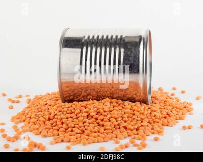 Una lattine di cibo con lenticchie rosse intorno ad essa. Concetto di consumatore e industria. Foto Stock