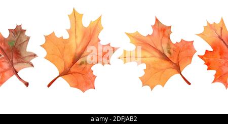 Foglie d'acero d'autunno. Ripetizione del bordo orizzontale estivo. Fiore acquerello. Composizioni per biglietti d'auguri o inviti. Acquerello Foto Stock