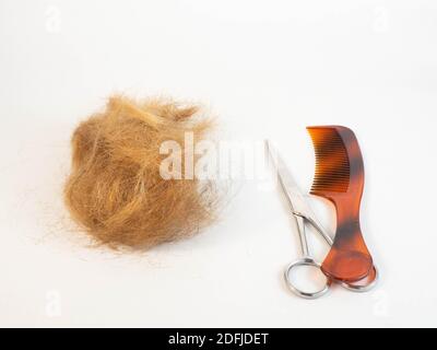 Un ciuffo di capelli dopo essere stati tagliati, posati accanto a un paio di forbici, pettine. Concetto intorno a acconciatura e lavoro. Foto Stock