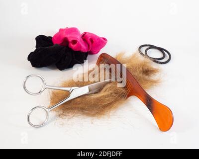 Un ciuffo di capelli dopo essere stati tagliati, posati accanto a un paio di forbici, pettine, mazzi, fasce di gomma. Concetto intorno a acconciatura e lavoro. Foto Stock