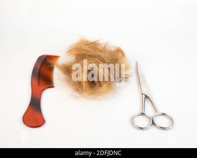 Un ciuffo di capelli dopo essere stati tagliati, posati accanto a un paio di forbici, pettine. Concetto intorno a acconciatura e lavoro. Foto Stock