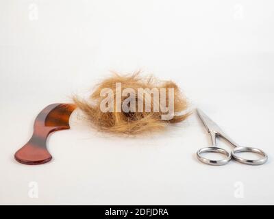 Un ciuffo di capelli dopo essere stati tagliati, posati accanto a un paio di forbici, pettine. Concetto intorno a acconciatura e lavoro. Foto Stock