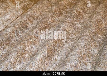 vecchia copertura corrugata in fibra di vetro Foto Stock