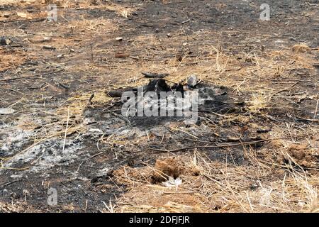 coltivatori di sussistenza bruciano piccoli lotti di foresta per spazio a. coltivare Foto Stock