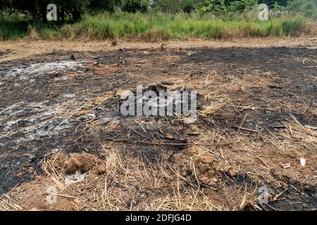coltivatori di sussistenza bruciano piccoli lotti di foresta per spazio a. coltivare Foto Stock