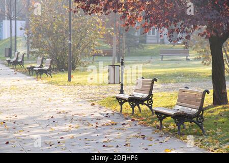 Panchine vuote in legno e ferro dal percorso lastricato in un parco pubblico in una soleggiata e nebbiosa mattina d'autunno con foglie cadute Foto Stock