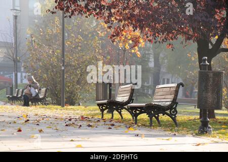 Belgrado, Serbia - 1 dicembre 2020: Panchine sul sentiero lastricato in un parco pubblico su una soleggiata e nebbiosa mattina d'autunno con foglie cadute Foto Stock