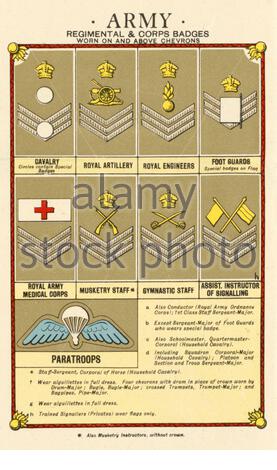 Ranghi e Insignia delle forze armate britanniche - Esercito, da informazioni della seconda guerra mondiale e poster di Propaganda Foto Stock