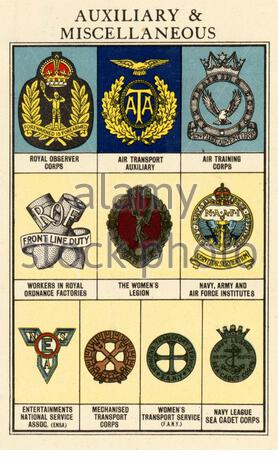 Ranghi e Insignia delle forze armate britanniche - Ausiliare & varie da WW2 informazioni e poster di Propaganda Foto Stock