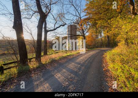 Una strada sterrata rurale in Virginia rurale. Foto Stock