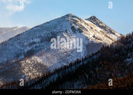 Neve coperta Simmons Peak; altitudine 12.050'; vicino a Salida; Colorado; USA Foto Stock